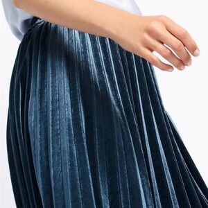 Elegant Jimena Crushed Velvet Pleated Skirt